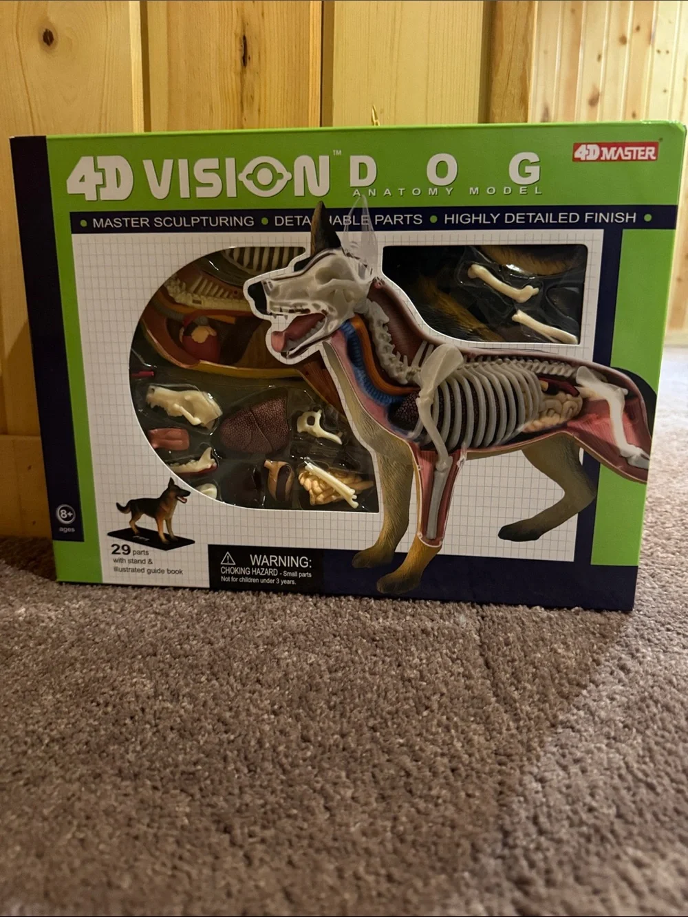 4D Vision Dog Anatomy Model Kit - Green Box